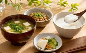味噌・漬物・ヨーグルトなど日本の発酵食卓